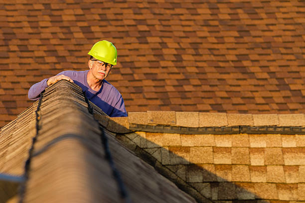 Roof Gutter Cleaning in Angwin, CA